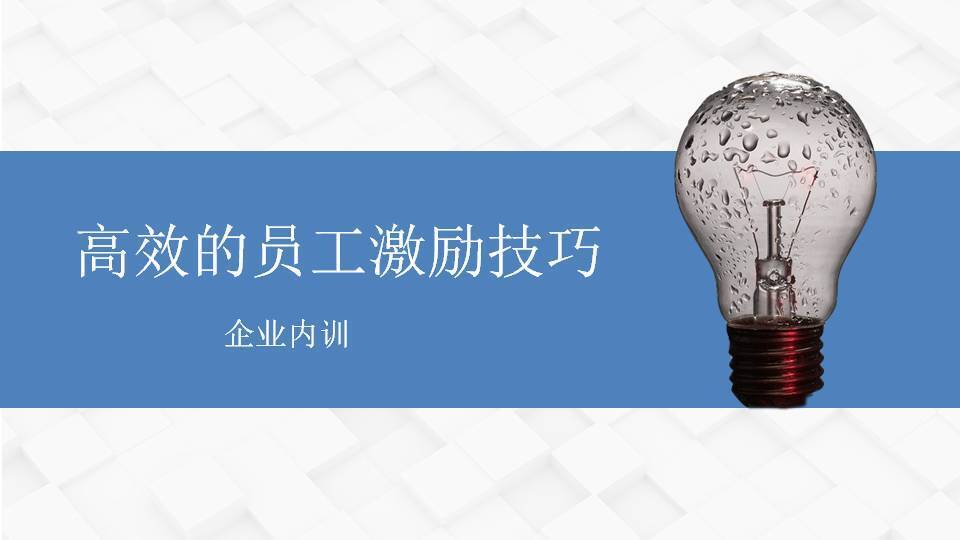 左京《高效的员工激励技巧》