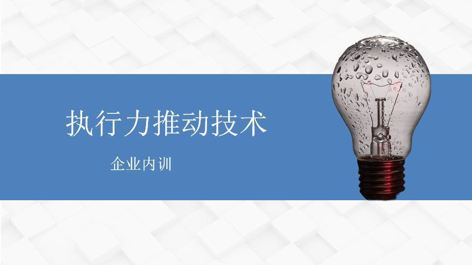 阎金岱《执行力推动技术》
