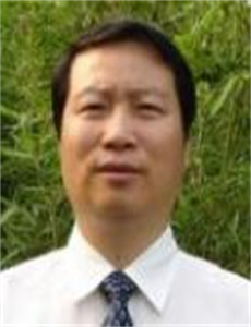 黄静