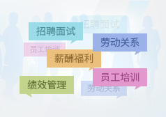 任职资格体系认证体系建设