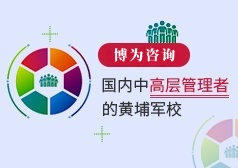 《公司战略与执行》